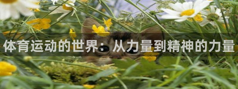 必一运动体育