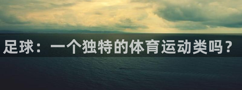 必一运动体育官网入口