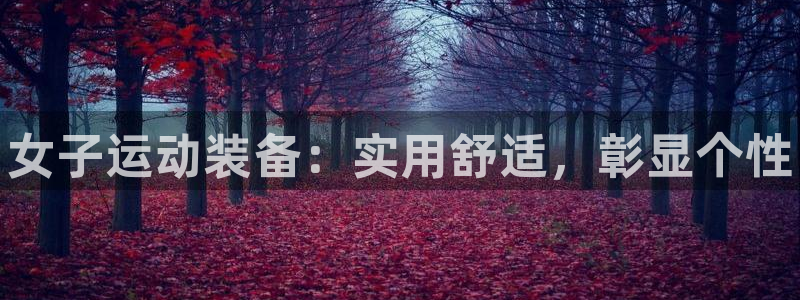 bsports必一运动