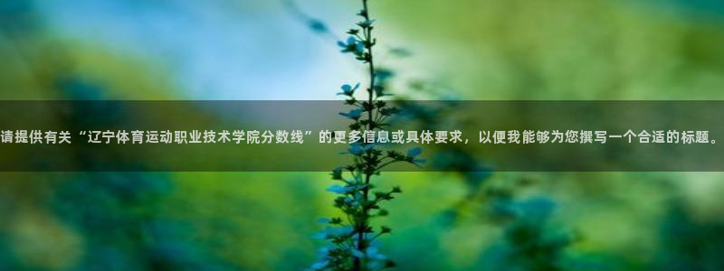 必一运动体育官网