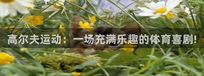 必一运动