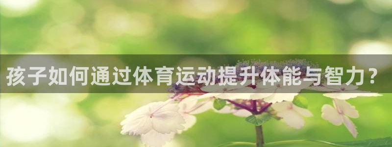必一运动体育官网入口