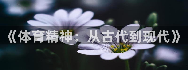 必一运动官网入口