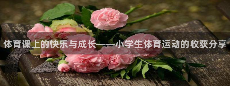 必一运动bsport体育