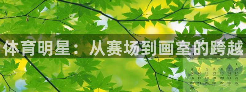 bsports必一运动