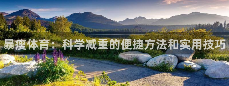 必一运动bsport体育
