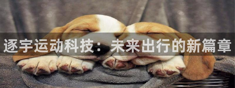 b体育必一运动官网