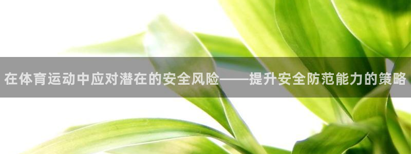 必一运动体育官网入口