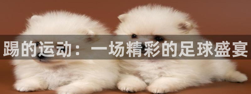 必一运动