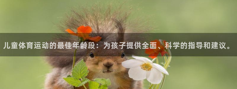 必一运动体育