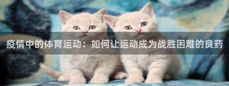 必一运动官网